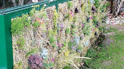 PHOTO : SMACT-S. MORARD