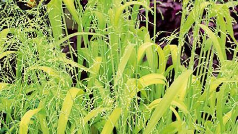 PHOTO : SMACT-S. MORARD