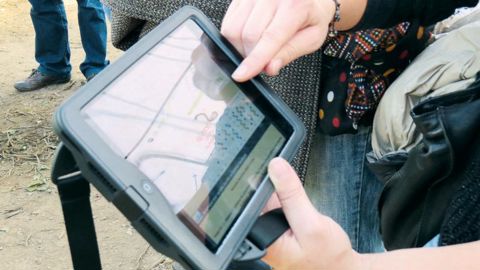 L'outil de monitoring développé par l'Inra et Astredhor, sur rose, permet un suivi des ravageurs et auxiliaires pour mieux anticiper  et cibler les interventions. La saisie des données peut s'effectuer directement sur tablette.PHOTO : VALÉRIE VIDRIL