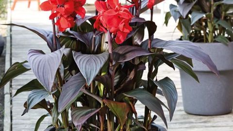 PHOTO : ODILE MAILLARD