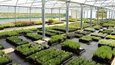 PHOTO : AUDE RICHARD