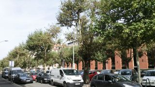 Des vieux platanes aux houppiers dépérissants Des platanes à feuilles d'érable (Platanus X acerifolia) sont implantés de longue date en double lignée parallèle sur une place du centre-ville de Strasbourg (67). Conduits en « têtes de chat », ils font l'objet d'un élagage régulier. En 2006, des dépérissements répartis de façon aléatoire sont apparus dans les houppiers et quelques sujets très affectés et morts sur pied ont été abattus. Au fil des années, l'état des platanes peu atteints s'est dégra Des vieux platanes aux houppiers dépérissants Des platanes à feuilles d'érable (Platanus X acerifolia) sont implantés de longue date en double lignée parallèle sur une place du centre-ville de Strasbourg (67). Conduits en « têtes de chat », ils font l'objet d'un élagage régulier. En 2006, des dépérissements répartis de façon aléatoire sont apparus dans les houppiers et quelques sujets très affectés et morts sur pied ont été abattus. Au fil des années, l'état des platanes peu atteints s'est dégra