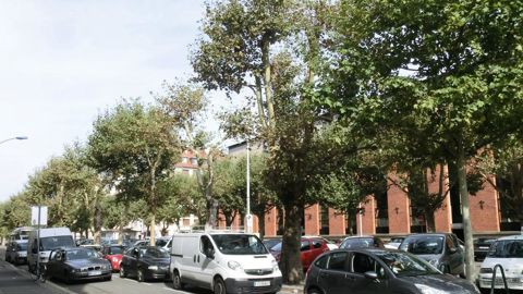 Des vieux platanes aux houppiers dépérissants Des platanes à feuilles d'érable (Platanus X acerifolia) sont implantés de longue date en double lignée parallèle sur une place du centre-ville de Strasbourg (67). Conduits en « têtes de chat », ils font l'objet d'un élagage régulier. En 2006, des dépérissements répartis de façon aléatoire sont apparus dans les houppiers et quelques sujets très affectés et morts sur pied ont été abattus. Au fil des années, l'état des platanes peu atteints s'est dégra