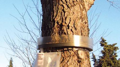 PHOTO : INRA J.-C. MARTIN