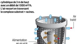 Cette tour d'épuration (prototype développé pour le programme « air extérieur »), a été installée à Fauville-en-Caux (76).PHOTO : AREXHOR SEINE MANCHE Cette tour d'épuration (prototype développé pour le programme « air extérieur »), a été installée à Fauville-en-Caux (76).PHOTO : AREXHOR SEINE MANCHE