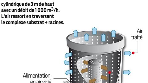 Cette tour d'épuration (prototype développé pour le programme « air extérieur »), a été installée à Fauville-en-Caux (76).PHOTO : AREXHOR SEINE MANCHE