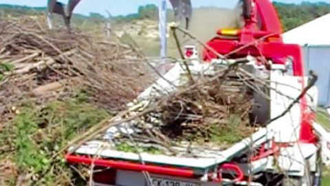 PHOTOS : FRANÇOIS ARNOULD