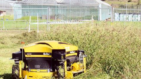 PHOTO : PASCAL FAYOLLE