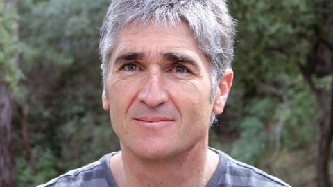 Traces noires indiquant la « cicatrisation » au niveau des galeries, qui forment, lorsqu'elles sont nombreuses, des « portes d'entrée ».