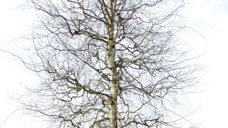 PHOTO : GROOTGROENPLUS PHOTO : GROOTGROENPLUS