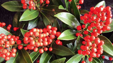 PHOTO : VALÉRIE VIDRIL