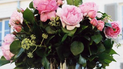 PHOTO : DAVID CHANTERANNE