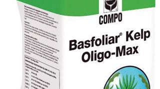 PHOTO : COMPO PHOTO : COMPO