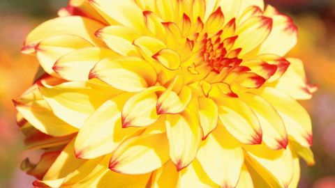 PHOTO : GILLES CLOÎTRE