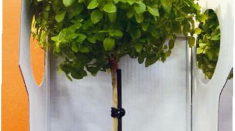 PHOTO : M.-F. PETITJEAN