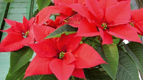 PHOTO : CLAUDE THIERY