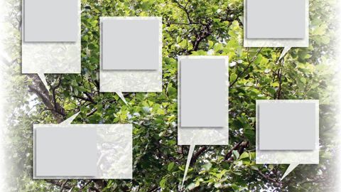 Galles à l'aspect de granules vert clair à rougeâtres, dues à des acariens.