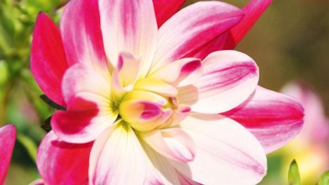 PHOTO : GILLES CLOÎTRE