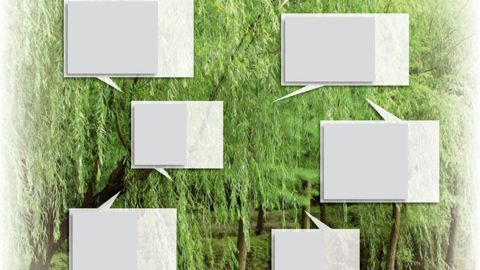 Pousses fortement déformées par Eriophyes triradiatus générant un amas de tissus desséchés persistant dans le houppier.