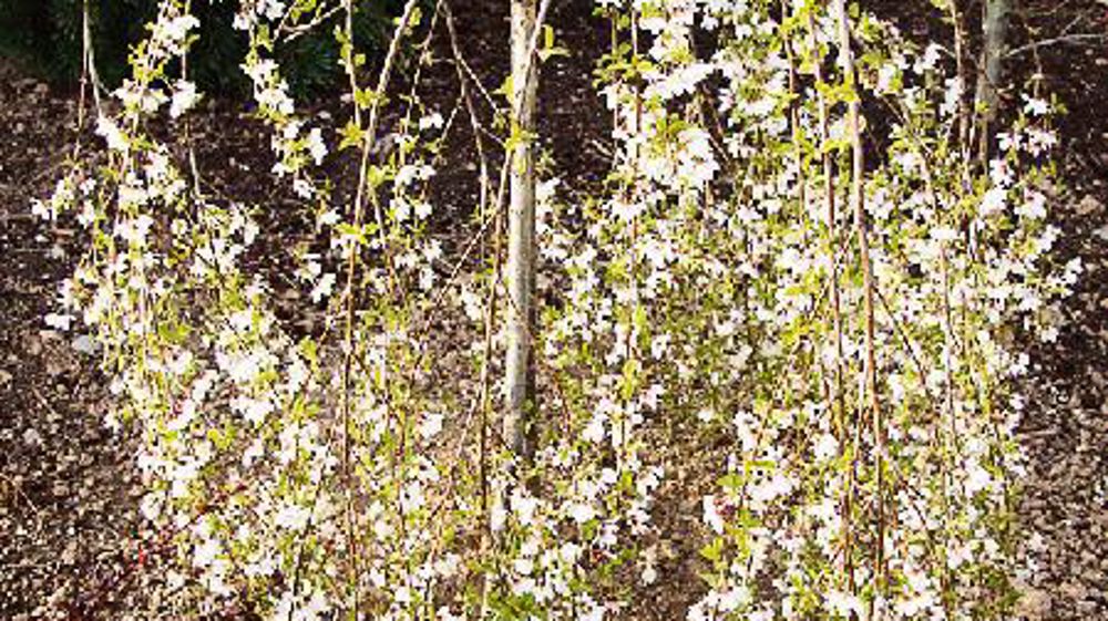 PHOTO : VLAM PHOTO : VLAM