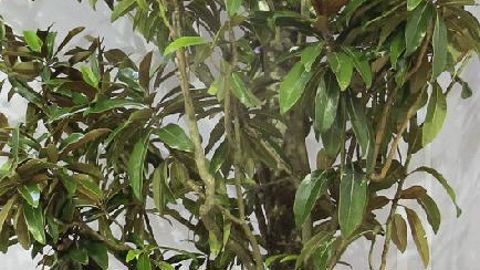 PHOTO : ODILE MAILLARD