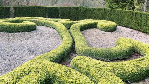 Le buis joue un rôle de structure dans les espaces verts publics où il est très présent. Ambassadeur des topiaires, il symbolise l'art des jardins à la française.