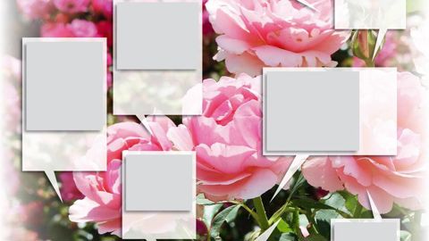 PHOTO : JÉRÔME JULLIEN