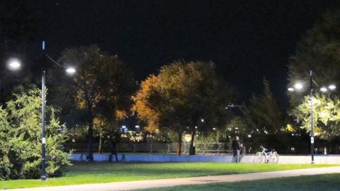 Qu'elle soit artificielle ou naturelle, la lumière agit sur les plantes comme un signal : elle peut favoriser leur développement ou au contraire le contrarier.VALÉRIE VIDRIL