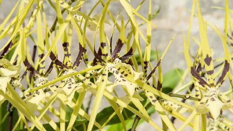 PHOTO : JEAN-PIERRE DELAGARDE