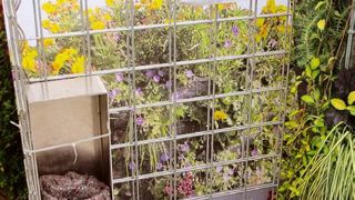 PHOTO : PASCAL FAYOLLE