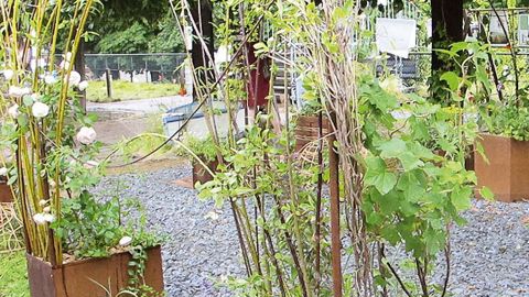 PHOTO : PASCAL FAYOLLE