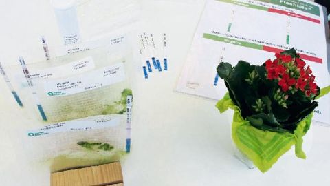 PHOTO : ODILE MAILLARD