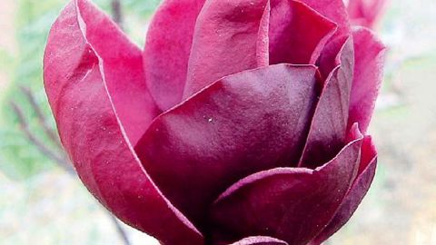 PHOTO : SAPHO PHOTO : MINIER