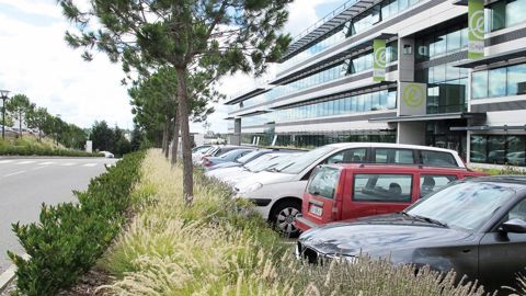 Les données recueillies dans le cadre du Réseau national de surveillance aérobiologique permettent de qualifier le risque allergique que peuvent engendrer les végétaux.PHOTO : PASCAL FAYOLLE