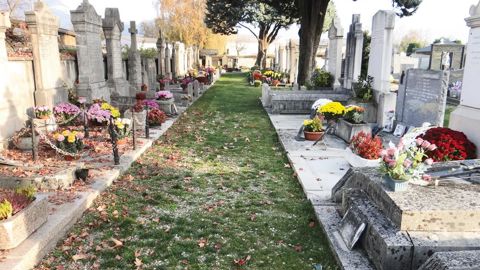 En 2015, la ville de La Motte-Servolex (73) a testé quatre mélanges de différents fournisseurs. Ci-dessus, le mélange présente un taux de recouvrement nettement supérieur aux autres.PHOTO : CLAUDE THIERY