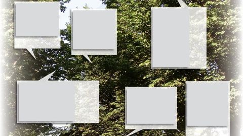 Rameaux flétris d'un orme atteint par la graphiose.