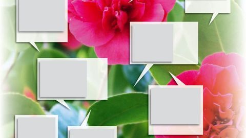 Bouton floral de camélia gelé.PHOTO : JÉRÔME JULLIEN