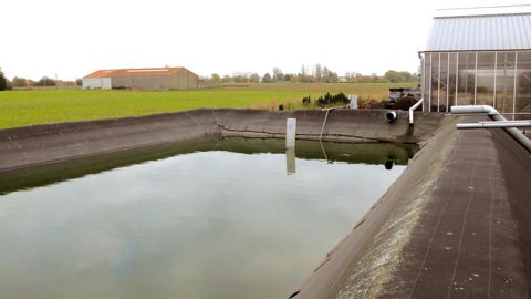 Mettre en place un bassin de récupération des eaux de pluie n'offre pas seulement une solution quantitative pour l'irrigation de la culture, mais également qualitative. L'eau de pluie a une conductivité proche de zéro. Diluer son approvisionnement avec de l'eau de pluie permet de résoudre des problèmes d'eau trop chargée ou trop alcaline.PHOTO : VALÉRIE VIDRIL