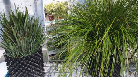 DRY AND DESIGN GARDEN®PHOTO : VALÉRIE VIDRIL