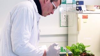 À l'unisson, les intervenants du colloque plaident pour intégrer des disciplines comme l'économie, la sociologie ou l'histoire dans les travaux de recherche horticole afin de renforcer leur caractère prospectif. Ici, des tests conduits au laboratoire de l'Anses (Agence nationale de sécurité sanitaire de l'alimentation, de l'environnement et du travail).