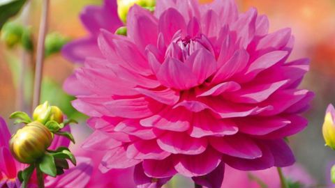 PHOTO : LYCÉE DE COUTANCES