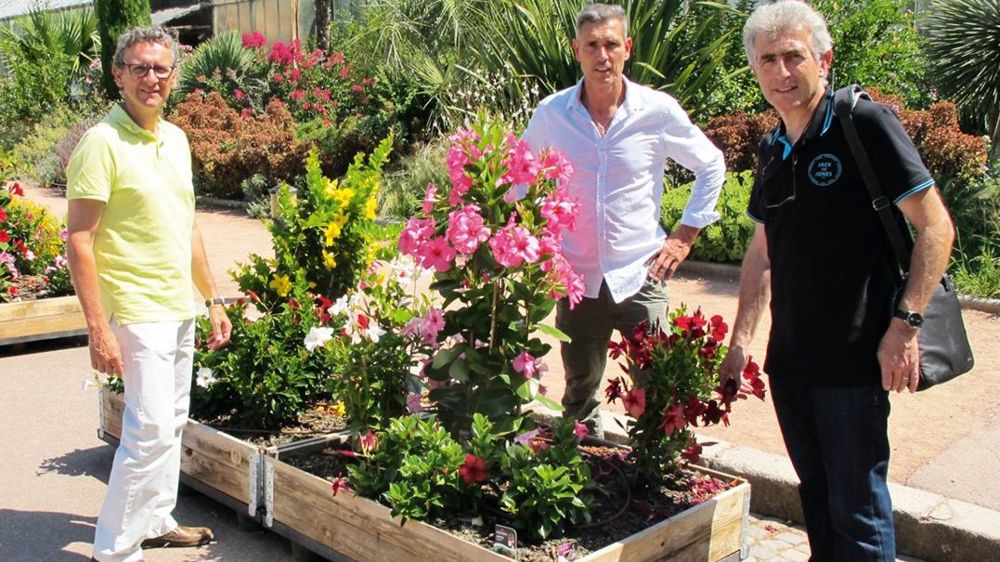 De gauche à droite : Dominique Peyrard, responsable technique du parc de la Tête d'or et du fleurissement, à Lyon (69), Bernard Darfeuille, responsable technique et opérationnel de la station Ratho, à Brindas (69), et Philippe Eyraud, multiplicateur, producteur et adhérent du Ratho. De gauche à droite : Dominique Peyrard, responsable technique du parc de la Tête d'or et du fleurissement, à Lyon (69), Bernard Darfeuille, responsable technique et opérationnel de la station Ratho, à Brindas (69), et Philippe Eyraud, multiplicateur, producteur et adhérent du Ratho.
