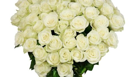 PHOTO : DÜMMEN ORANGE