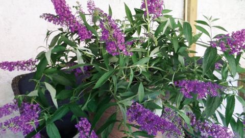 PHOTO : AUDE RICHARD