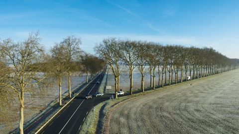 Sur la route, les arbres peuvent révéler une intersection...PHOTO : CONSEIL DÉPARTEMENTAL 77