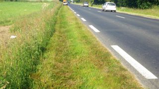 Les dépendances routières, milieux de transition entre la chaussée de la route et le paysage environnant assurent différentes fonctions, techniques, routières, paysagères et écologiques. Fauchage et fauchage avec exportation font partie des techniques de gestion.PHOTO : CHRISTOPHE PINEAU, CEREMA OUEST