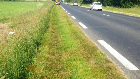 Les dépendances routières, milieux de transition entre la chaussée de la route et le paysage environnant assurent différentes fonctions, techniques, routières, paysagères et écologiques. Fauchage et fauchage avec exportation font partie des techniques de gestion.PHOTO : CHRISTOPHE PINEAU, CEREMA OUEST