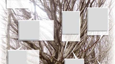 PHOTOS : PIERRE AVERSENQ