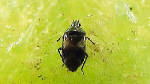 PHOTO : J. VILLENAVE-CHASSET