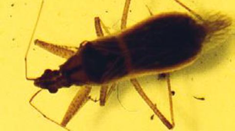 PHOTO : J. VILLENAVE-CHASSET